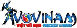 logo-vovinam-roissy-300x109