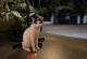 IMG-20191222-WA0035
