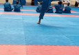IMG_3224