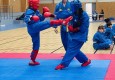 IMG_4710
