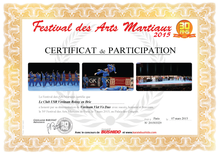 DIPLOME Viet vo dao