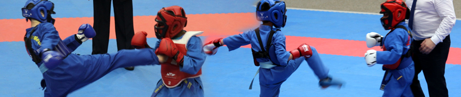 bando vovinam6