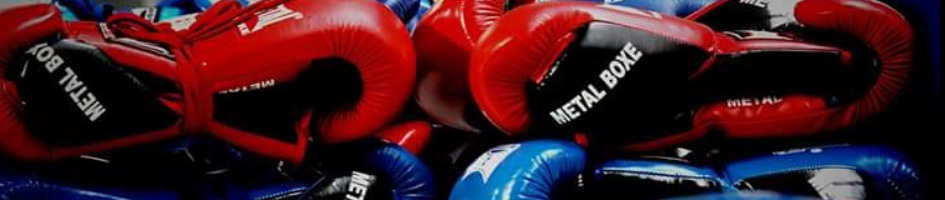 baniere boxe