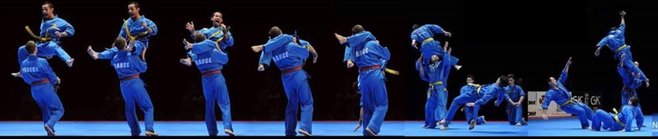 baniere vovinam